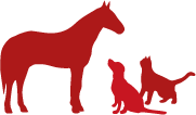 Tierarzt-Dr-Fueldner-Ellrich-logo